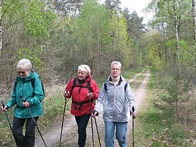 Nordic-Walking-Tour 2019