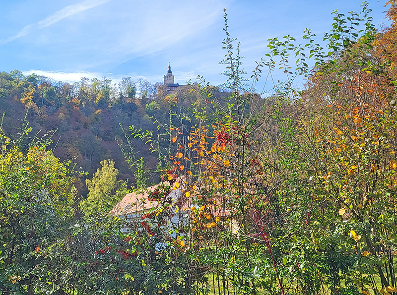 Herbstwanderung 2025