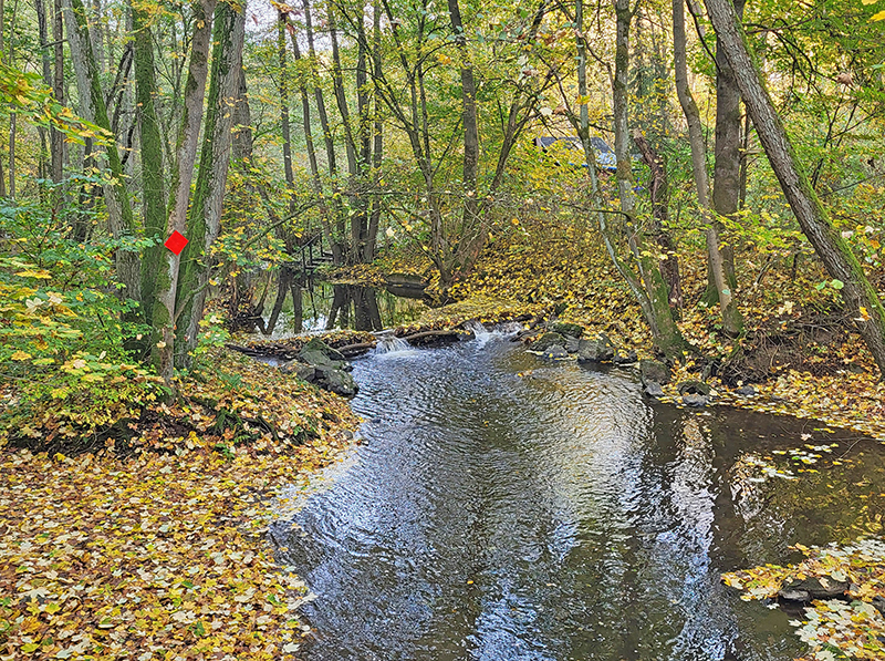 Herbstwanderung 2025