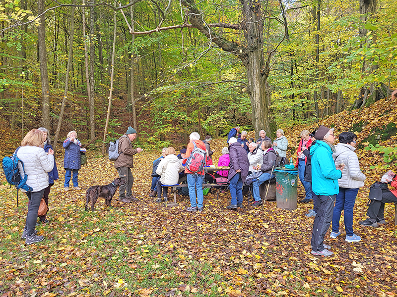 Herbstwanderung 2025