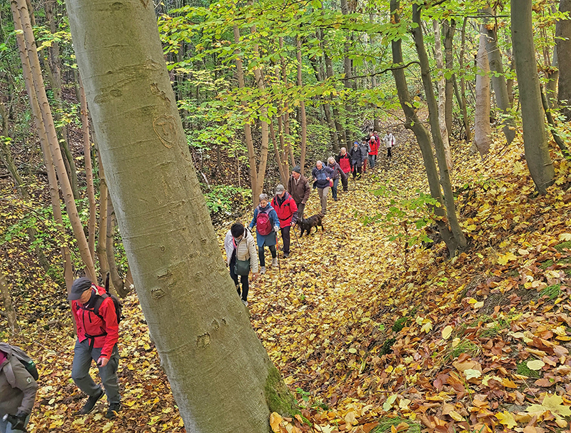 Herbstwanderung 2025